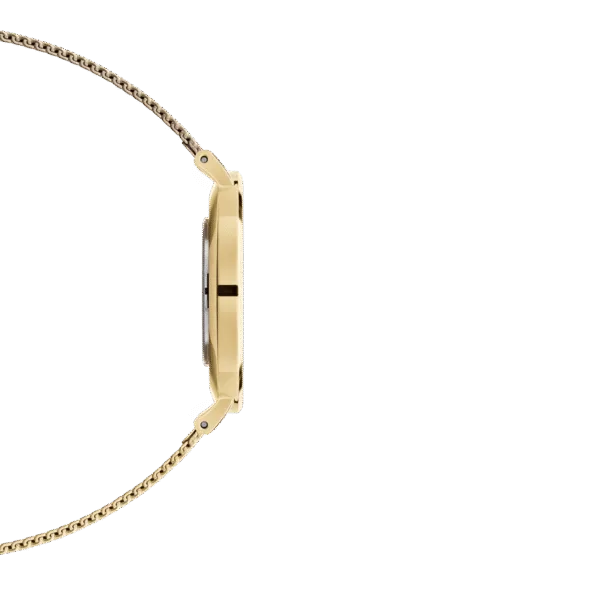 Daniel Wellington Ladies Watch Dw00100346 - alternate view