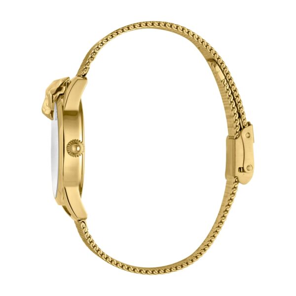 Just Cavalli JC Shine 2 Yellow Gold - alternate view