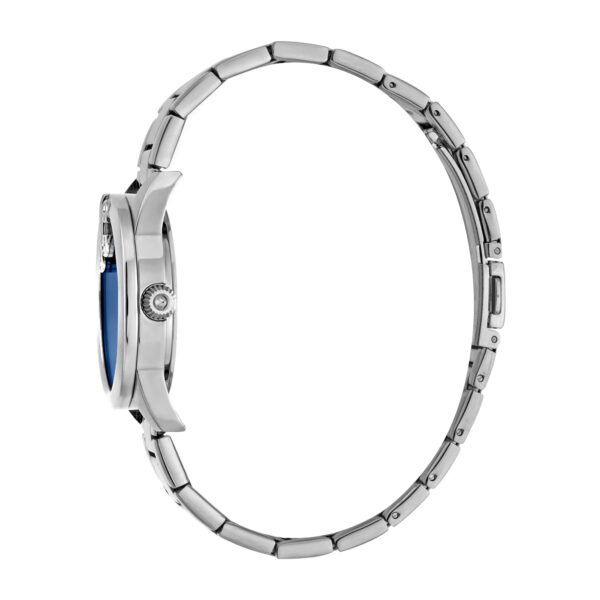 Just Cavalli Logomania SET Steel Blue Zebra Zircons - alternate view