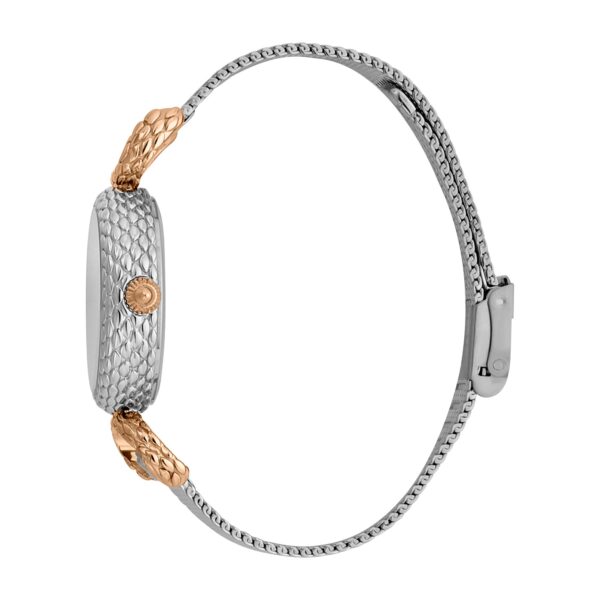 Just Cavalli Snake Inside Two Tone - alternate view