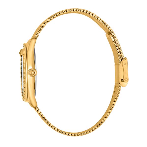 Just Cavalli Prestigio 2 Yellow Gold MOP - alternate view