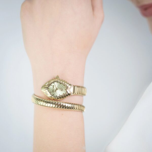 Just Cavalli Speranza Yellow Gold Champagne - alternate view