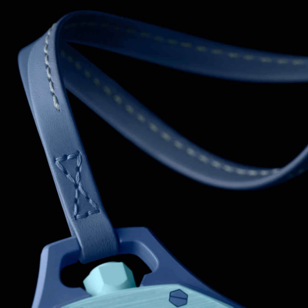 Lan Ba — Royal Pop (Audemars Piguet x Swatch) - Image 7